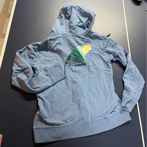 Patagonia Zip Up Hoodie Size Medium - Picture 1 of 5